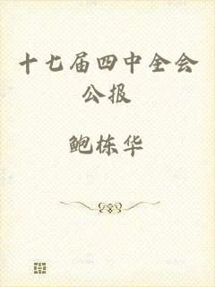 十七届四中全会公报