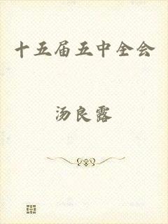 十五届五中全会