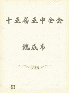 十五届五中全会