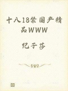 十八18禁国产精品WWW