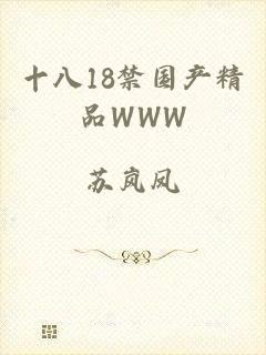 十八18禁国产精品WWW