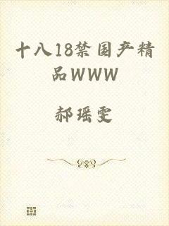 十八18禁国产精品WWW
