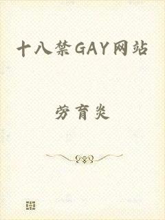 十八禁GAY网站