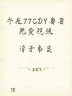 午夜77CDY鲁鲁免费视频