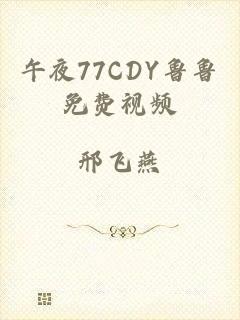 午夜77CDY鲁鲁免费视频