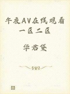 午夜AV在线观看一区二区