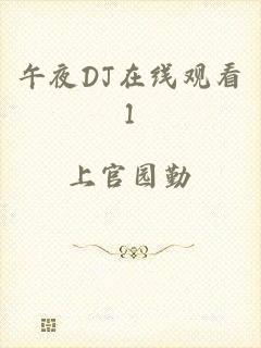 午夜DJ在线观看1