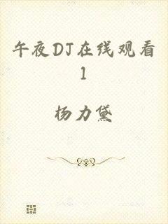 午夜DJ在线观看1