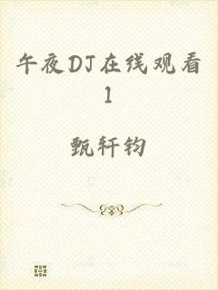 午夜DJ在线观看1