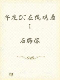 午夜DJ在线观看1