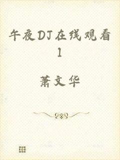 午夜DJ在线观看1