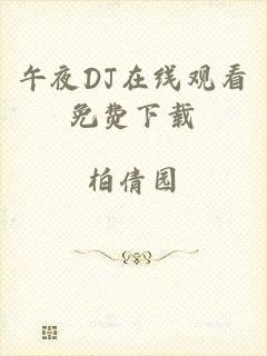 午夜DJ在线观看免费下载