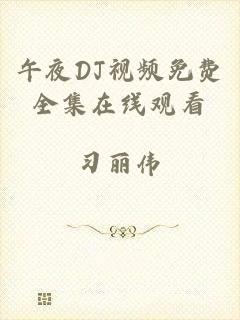 午夜DJ视频免费全集在线观看