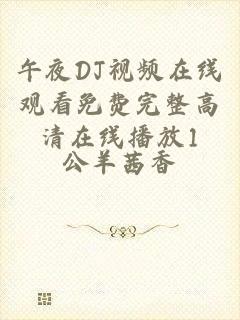 午夜DJ视频在线观看免费完整高清在线播放1