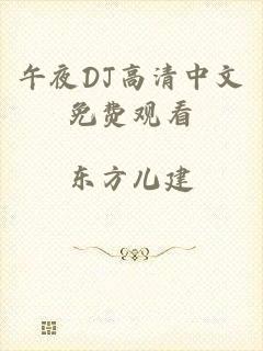 午夜DJ高清中文免费观看