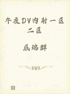 午夜DV内射一区二区