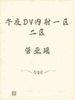 午夜DV内射一区二区