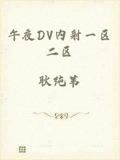 午夜DV内射一区二区