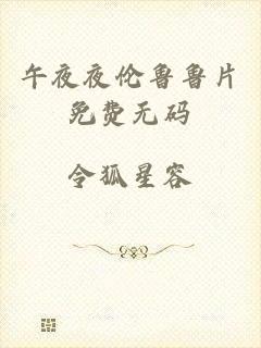 午夜夜伦鲁鲁片免费无码