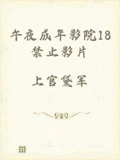 午夜成年影院18禁止影片