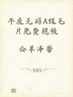 午夜无码A级毛片免费视频