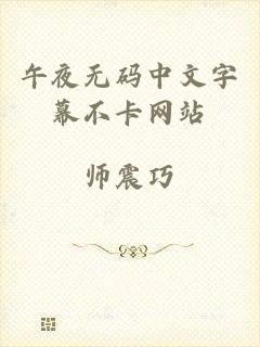 午夜无码中文字幕不卡网站