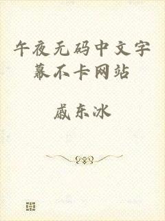 午夜无码中文字幕不卡网站