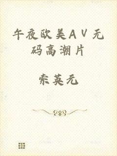 午夜欧美AⅤ无码高潮片