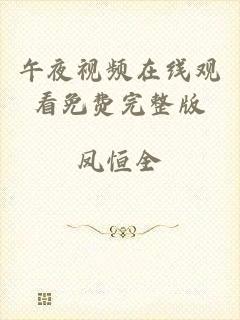 午夜视频在线观看免费完整版