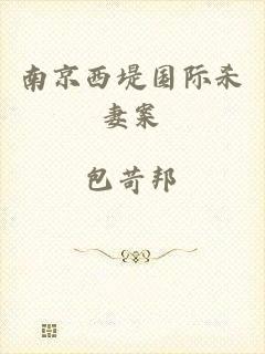 南京西堤国际杀妻案