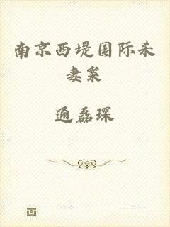 南京西堤国际杀妻案
