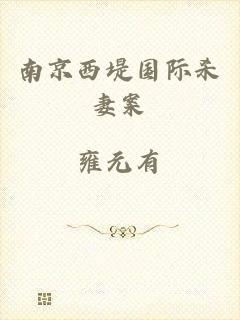 南京西堤国际杀妻案