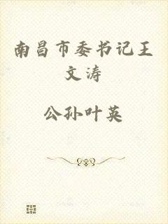 南昌市委书记王文涛