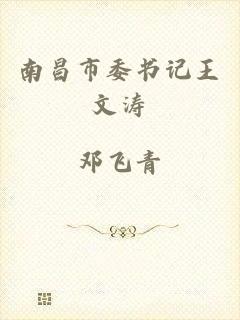 南昌市委书记王文涛