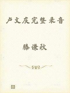 卢文庆完整录音