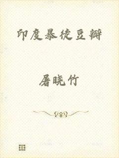 印度暴徒豆瓣