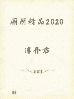 厕所精品2020