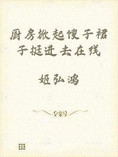 厨房掀起馊子裙子挺进去在线