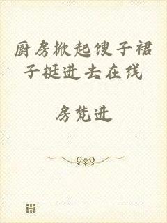 厨房掀起馊子裙子挺进去在线