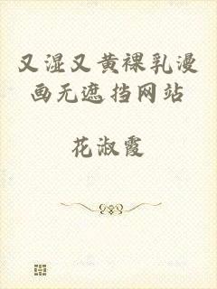 又湿又黄裸乳漫画无遮挡网站