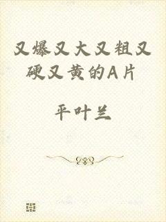 又爆又大又粗又硬又黄的A片