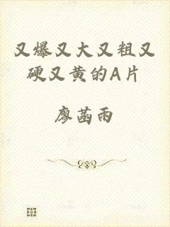 又爆又大又粗又硬又黄的A片