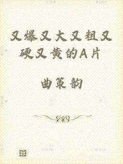 又爆又大又粗又硬又黄的A片