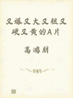 又爆又大又粗又硬又黄的A片