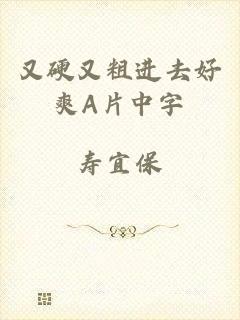 又硬又粗进去好爽A片中字