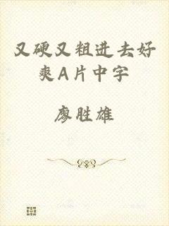 又硬又粗进去好爽A片中字