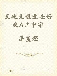 又硬又粗进去好爽A片中字