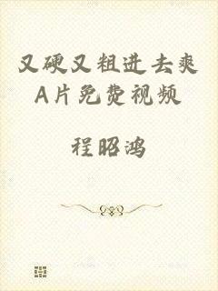 又硬又粗进去爽A片免费视频