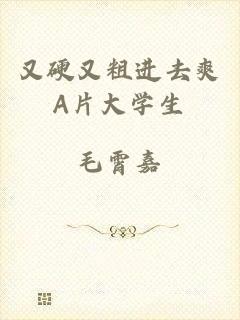 又硬又粗进去爽A片大学生