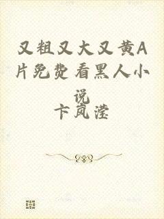又粗又大又黄A片免费看黑人小说